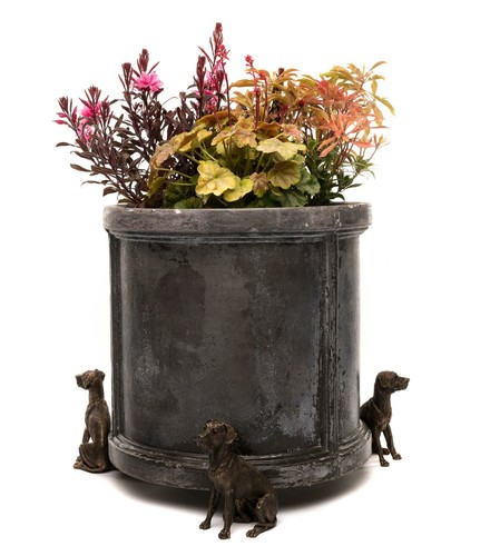 Potty feet decorative - potty, great